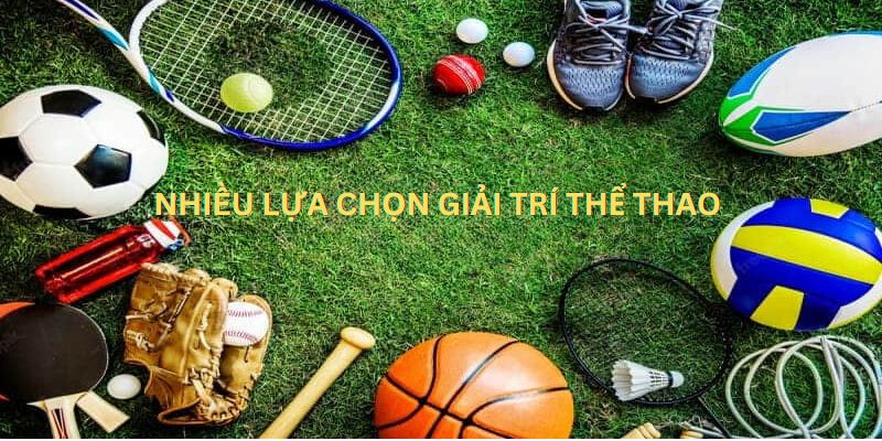 Nhiều lựa chọn giải trí thể thao đặc sắc là ưu điểm của CMD sports