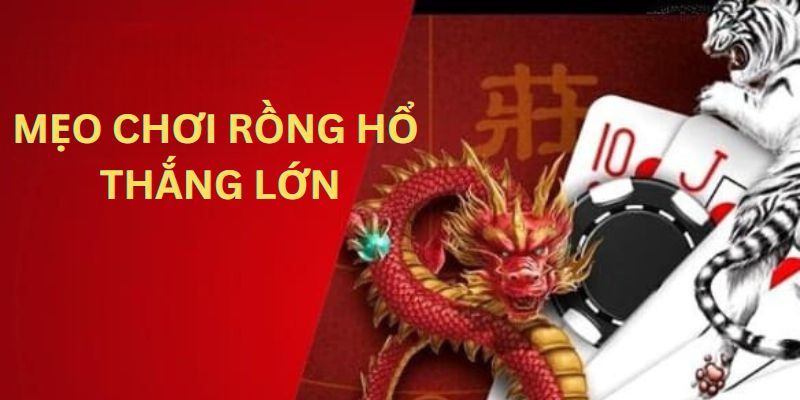 Không cược “Liều mạng” trong 1 ván bài là chiến thuật chơi rồng hổ thắng lớn